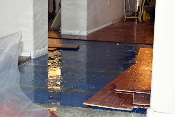 Professional Sewage Cleanup technician working in Helen, WV